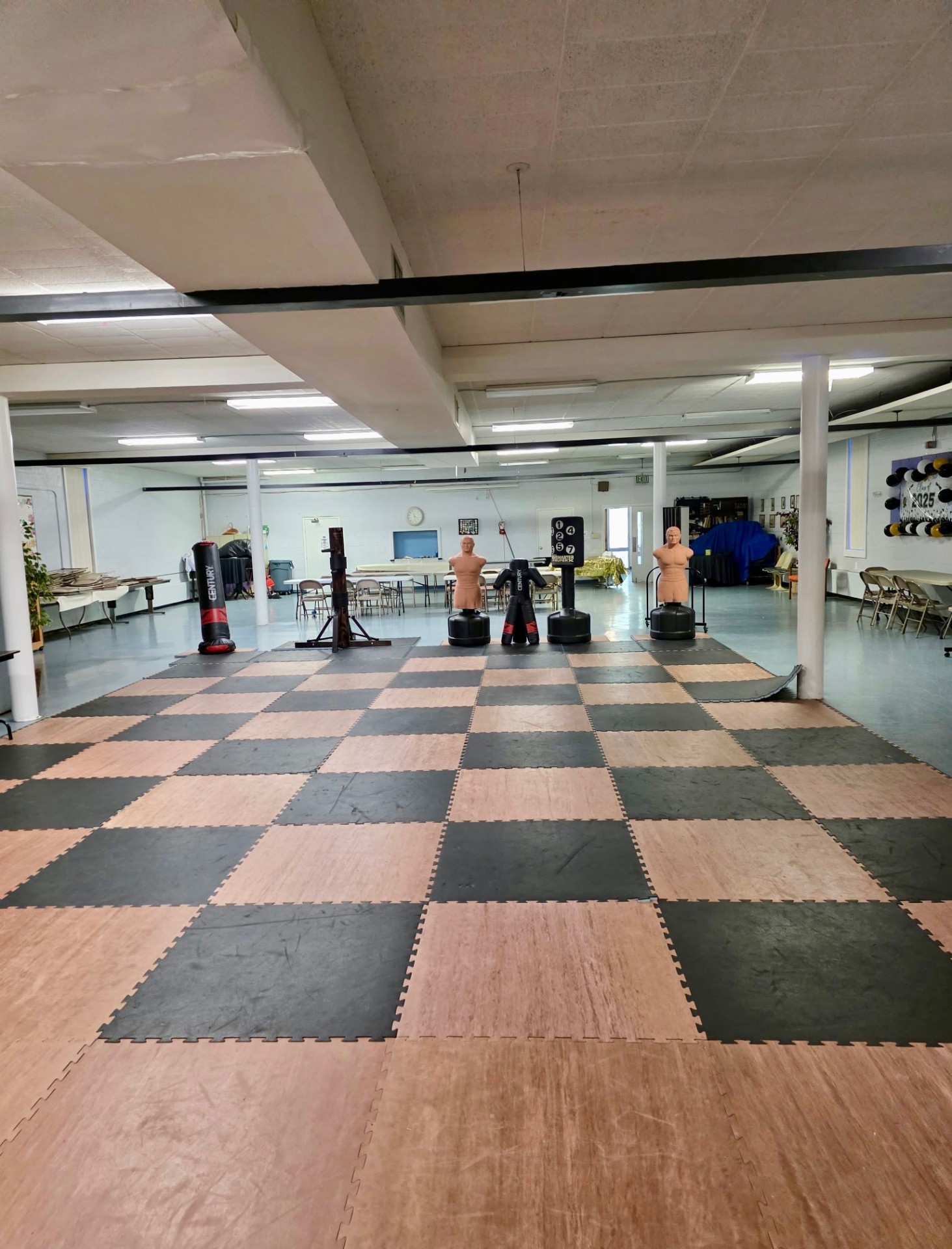 Wide view of the dojo training floor