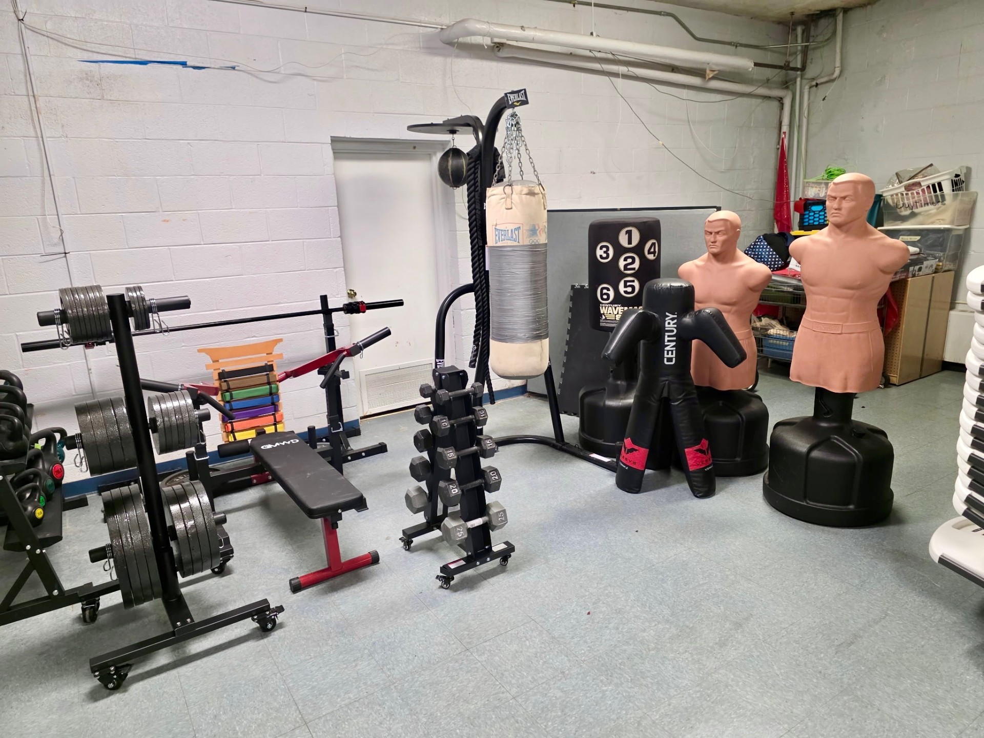 Striking dummies, heavy bag, and wave-master target